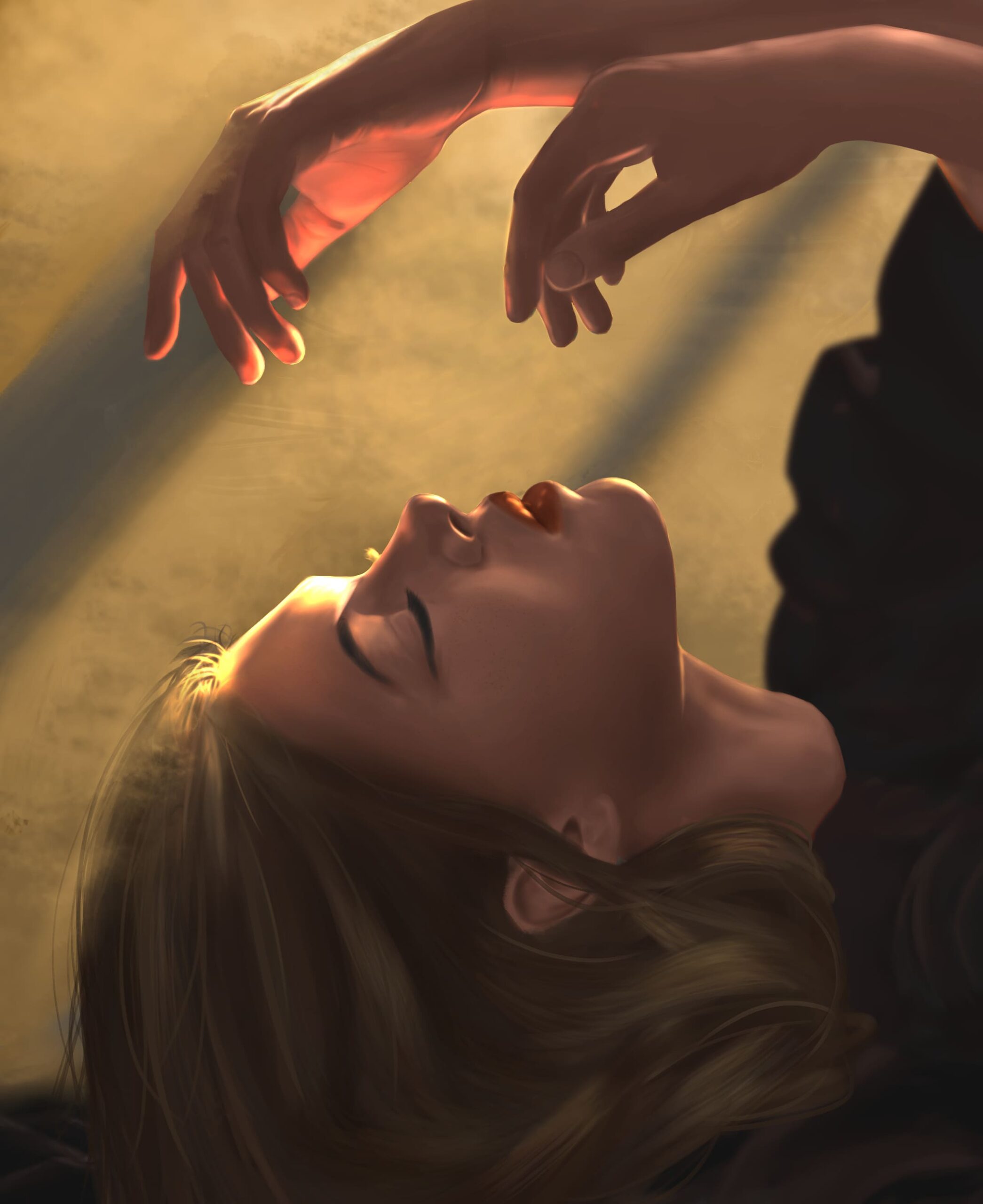 Galeria de ilustraciones